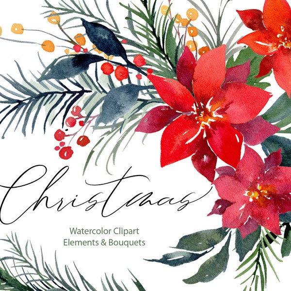Christmas Watercolor Clipart Xmas Clip Art New Year Flowers Bouquets Tree Branches Floral Poinsettia Red Winter Free Commercial Use PNG