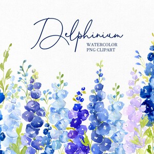 Watercolor Blue Delphinium Flowers Clipart Navy Indigo Floral Stem Clip Art larkspur Wilfdlower Border Bouquet Frame Free Commercial Use Png