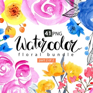 Akwarela kwiatowy clipart: 41 jasnych gałęzi kwiatów liści boho akwarela cyfrowy clipart akwarela kolorowy bezpłatny użytek komercyjny PNG