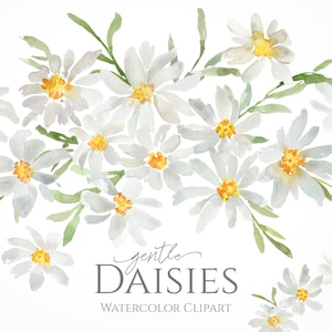 Aquarell Gänseblümchen Blumen Clipart Weiß Blumenblumen Kamille Hochzeit Clip Art Rahmen Blumenstrauß Kranz Digitaler Download Kostenlose Kommerzielle Nutzung Png