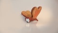 Alice In Wonderland (Bread and Butterfly)