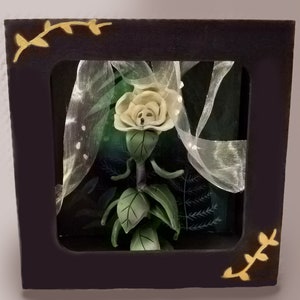 Alice in wonderland (White Rose)