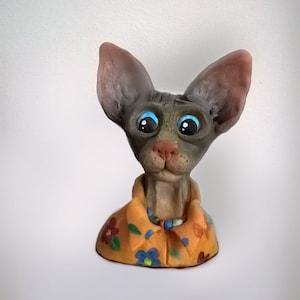 sphynx cat