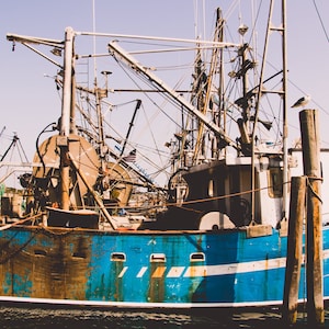 blue boat, montauk fishing boat, the dock, montauk, new york