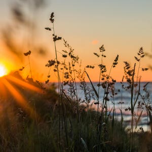 montauk sunrise, montauk point, montauk, new york