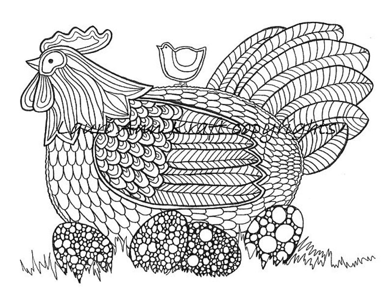 Download Chicken Eggs Hen Farm Country Printable Adult Coloring Book | Etsy