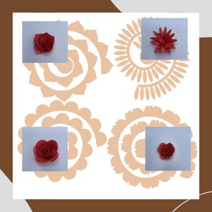 Digital Files - Paper Flowers SVG PNG  .STUDIO