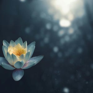 Hjärtläkning Guidad Meditation MP3 | 528Hz Kärleksfrekvens | Chakrahealing, Emotionell Frigörelse, Kvantenergiåterställning