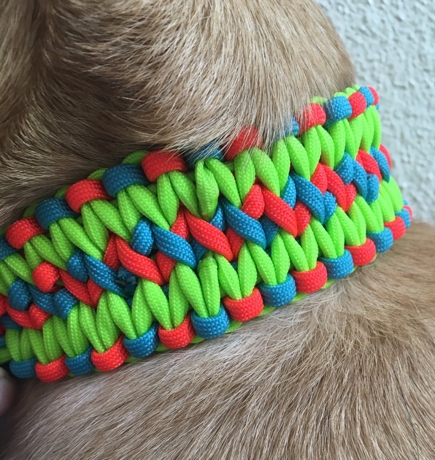 Paracord for Pets - Herringbone Rainbow I think one of my 𝕄𝕠𝕤𝕥  𝕗𝕒𝕧𝕠𝕣𝕚𝕥𝕖 color combinations of all time! ➡️ Goes best with a  #MERLE, a, #BLACK or any other color #dog you