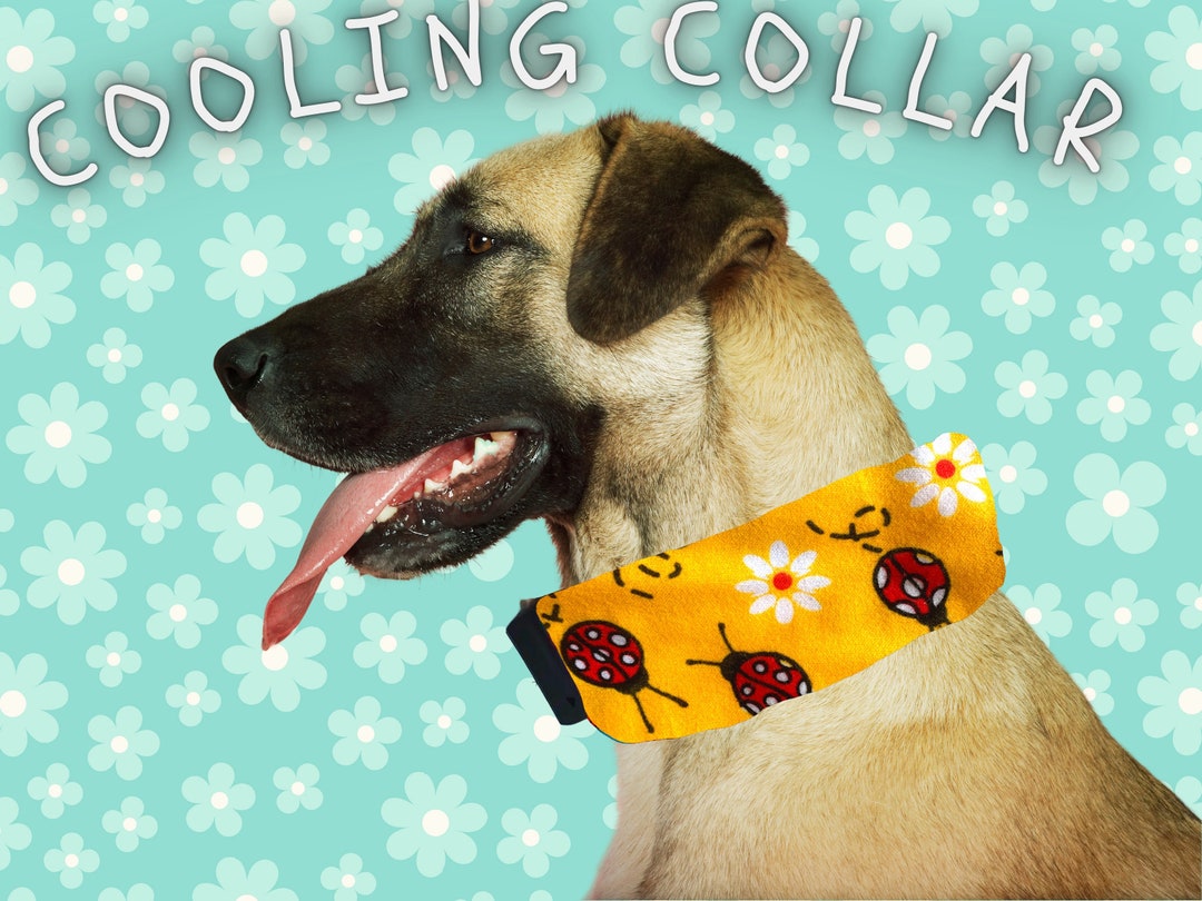 Summer Ice Pack Dog Collar, Lady Bug Dog Collar, Yellow Dog Collar
