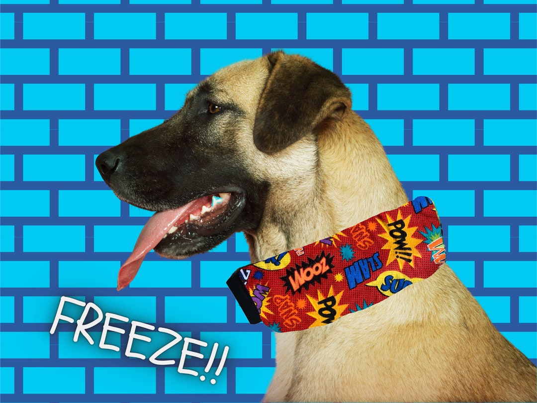 Summer Ice Pack Dog Collar/ Cooling Dog Collar/ Superhero Dog Collar