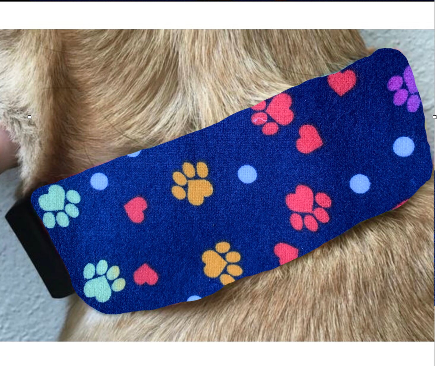 Summer Ice Pack Dog Collar