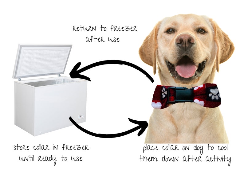Summer Ice Pack Dog Collar/ Cooling Dog Collar/ Superhero Dog Etsy