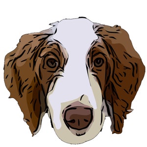 Photo Edit Digital Photo Editing Custom Pet Portraits