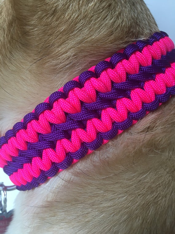 Paracord Double Cobra Two Color Neon Pink and Purple Dog Collar for Large Dogs1.5 Inch Band Width Etsy