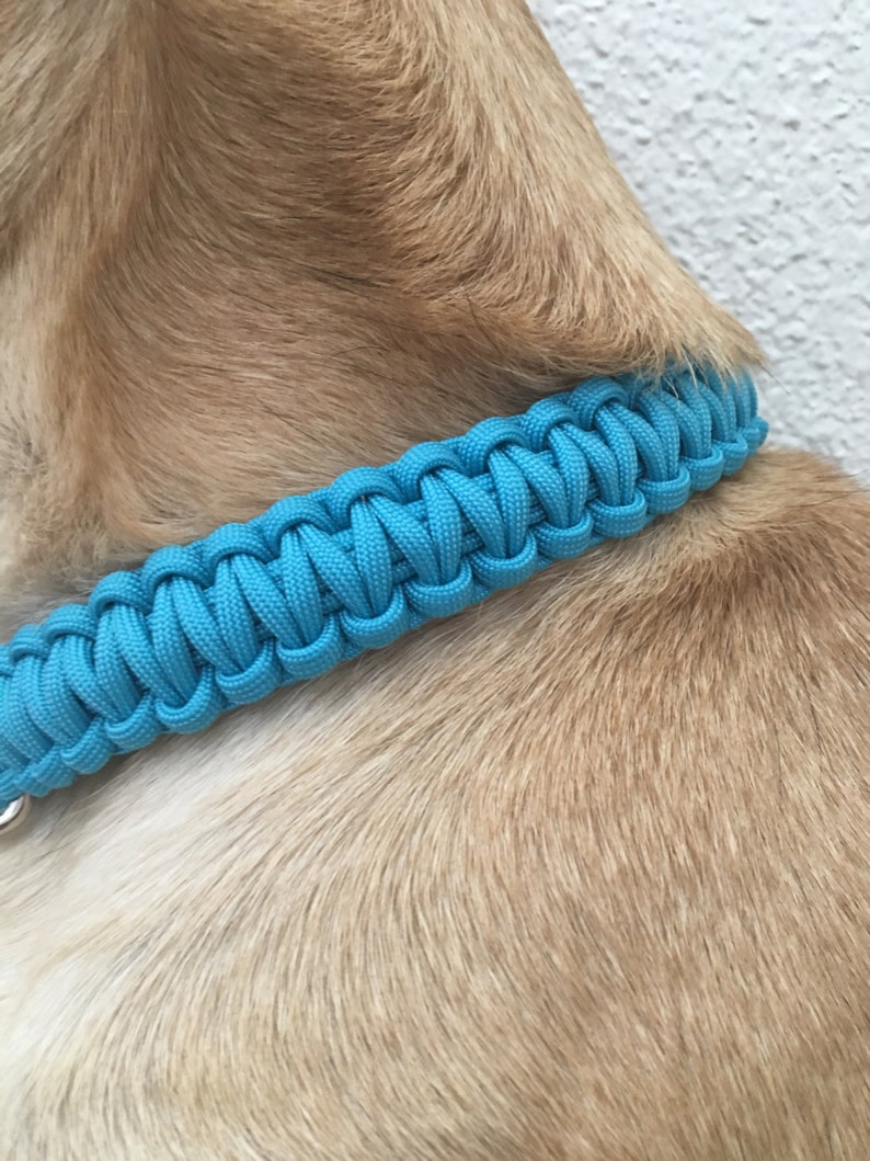 Adjustable Paracord Cobra Dog Collar 1 Inch Band Width Etsy
