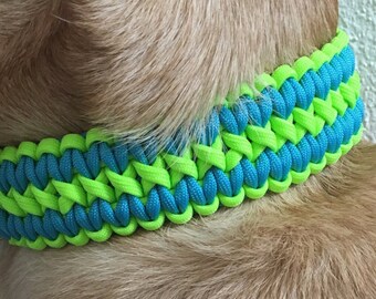 Paracord Double Cobra Zweifarbig Neon Grün und Neon Blau Hundehalsband (1,5 Zoll Bandbreite)