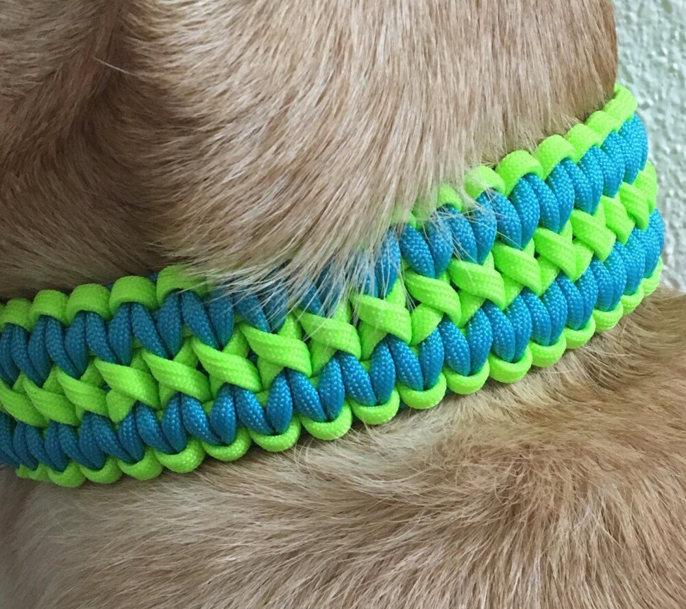 Double cobra paracord dog collar cheap