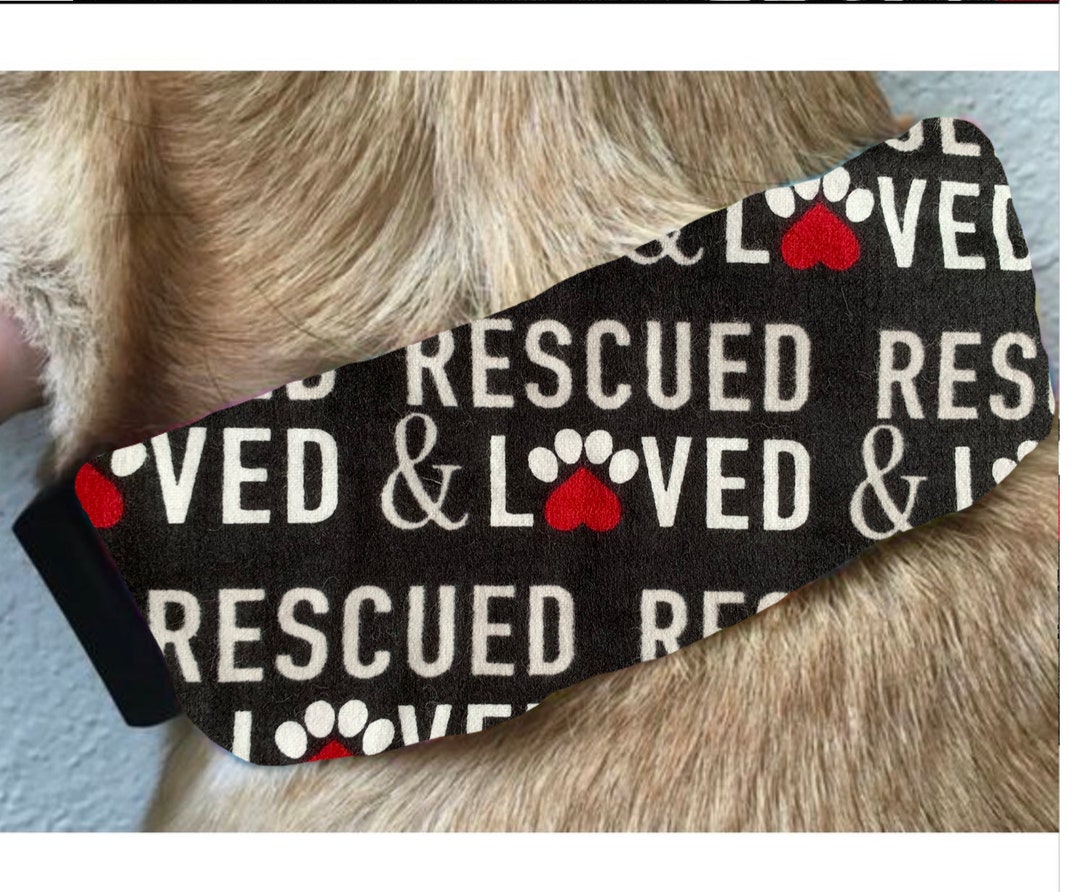 Summer Ice Pack Dog Collar/ Rescue Dog Collar/ Cooling Dog Collar