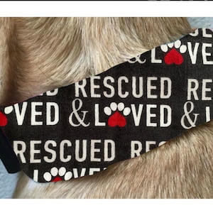 Summer Ice Pack Dog Collar/ Rescue Dog Collar/ Cooling Dog Collar/ Rescued and Loved Dog Collar