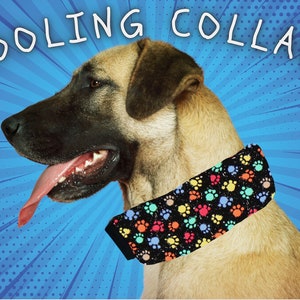Summer Ice Pack Dog Collar Paw Prints