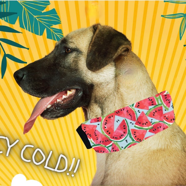 Summer Ice Pack Dog Collar/ Bandana Dog collar/ Cooling Dog Collar/ Watermelon Dog Collar