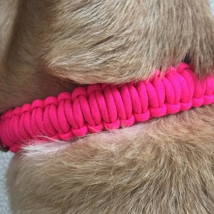 Parachord Compressed Cobra Dog Collar Neon Pink (1 inch band width)
