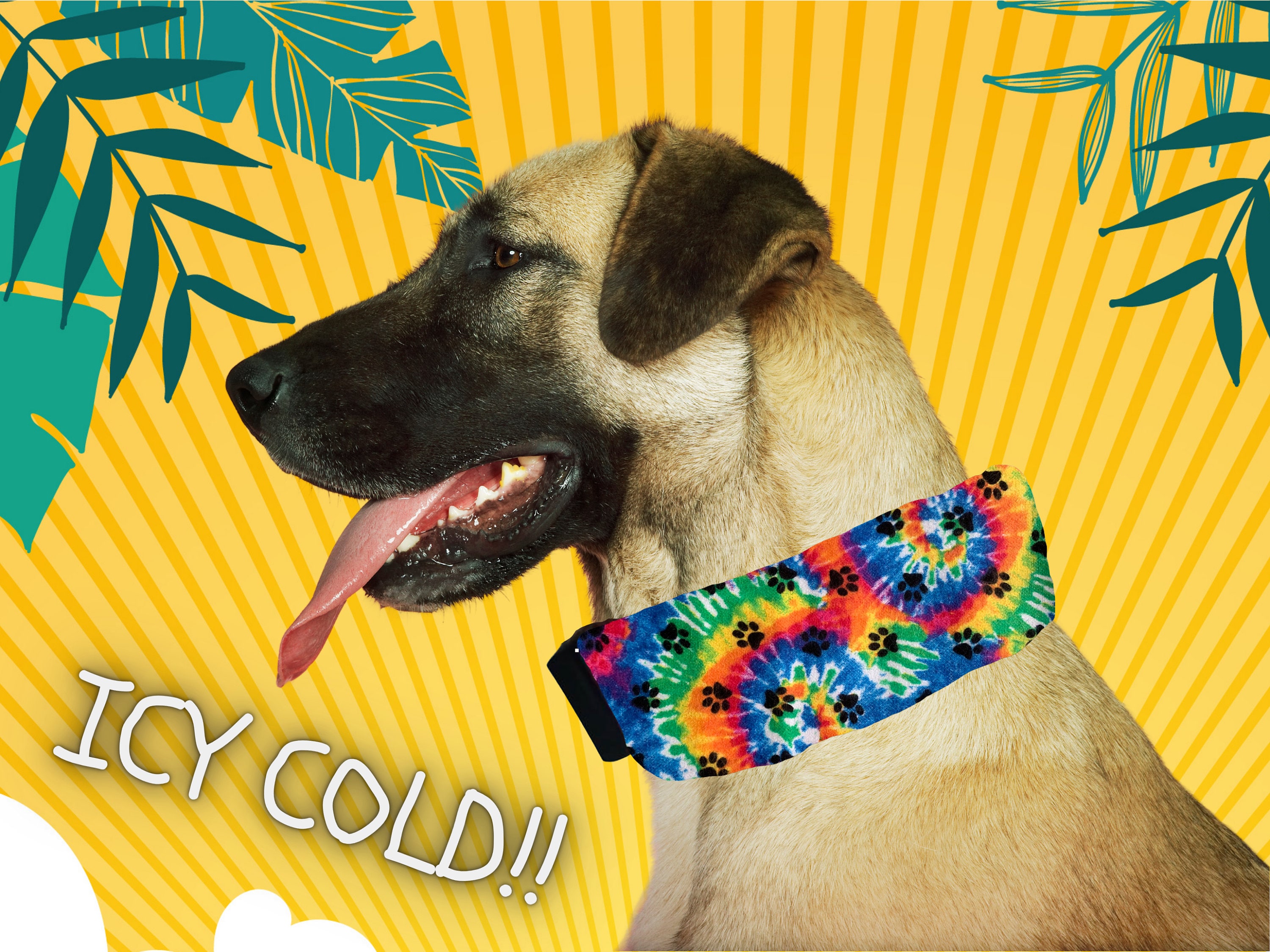 cold collar for dogs