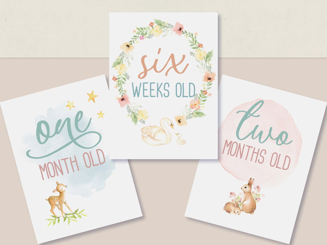 NICU Milestone Cards Printable Woodland Baby Girl Preemie | Etsy