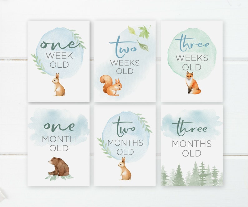 printable-nicu-milestone-cards-woodland-baby-boy-milestone-etsy