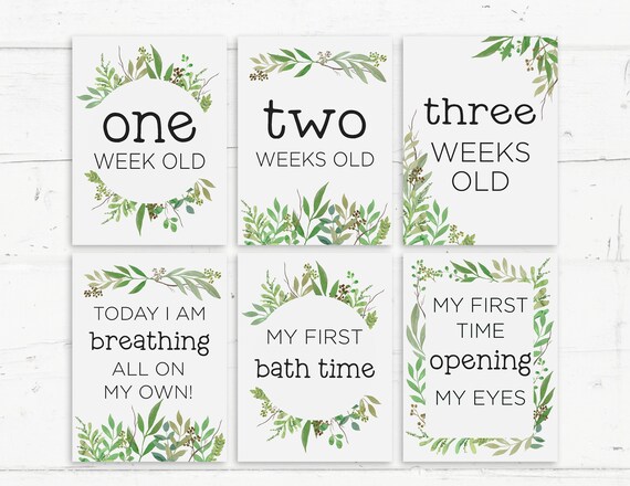 Printable Gender Neutral NICU Milestone Cards Greenery Etsy printable-gender-neutral-nicu-milestone-cards-greenery-etsy