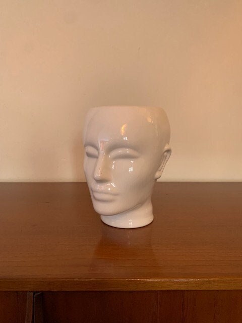 SHANY Styrofoam Model Heads ,Hat Wig Foam Mannequin Female Wig Head Stand ,Mannequin  Head for wigs , Wig Holder - Round Base , 11 Inches Female Mannequin Head  -2 Pieces 