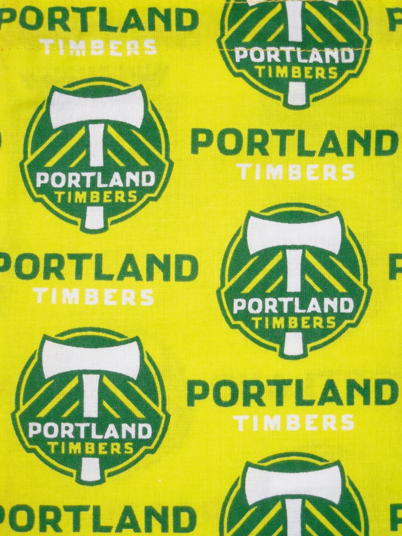 Wine Bottle Gift Bag Portland Timbers image 3