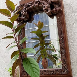 May include: A rectangular, ornate wooden mirror with intricate carvings and a decorative top. The mirror reflects a window and greenery. The frame is a warm brown color, and the mirror is surrounded by a plant with green and reddish leaves.