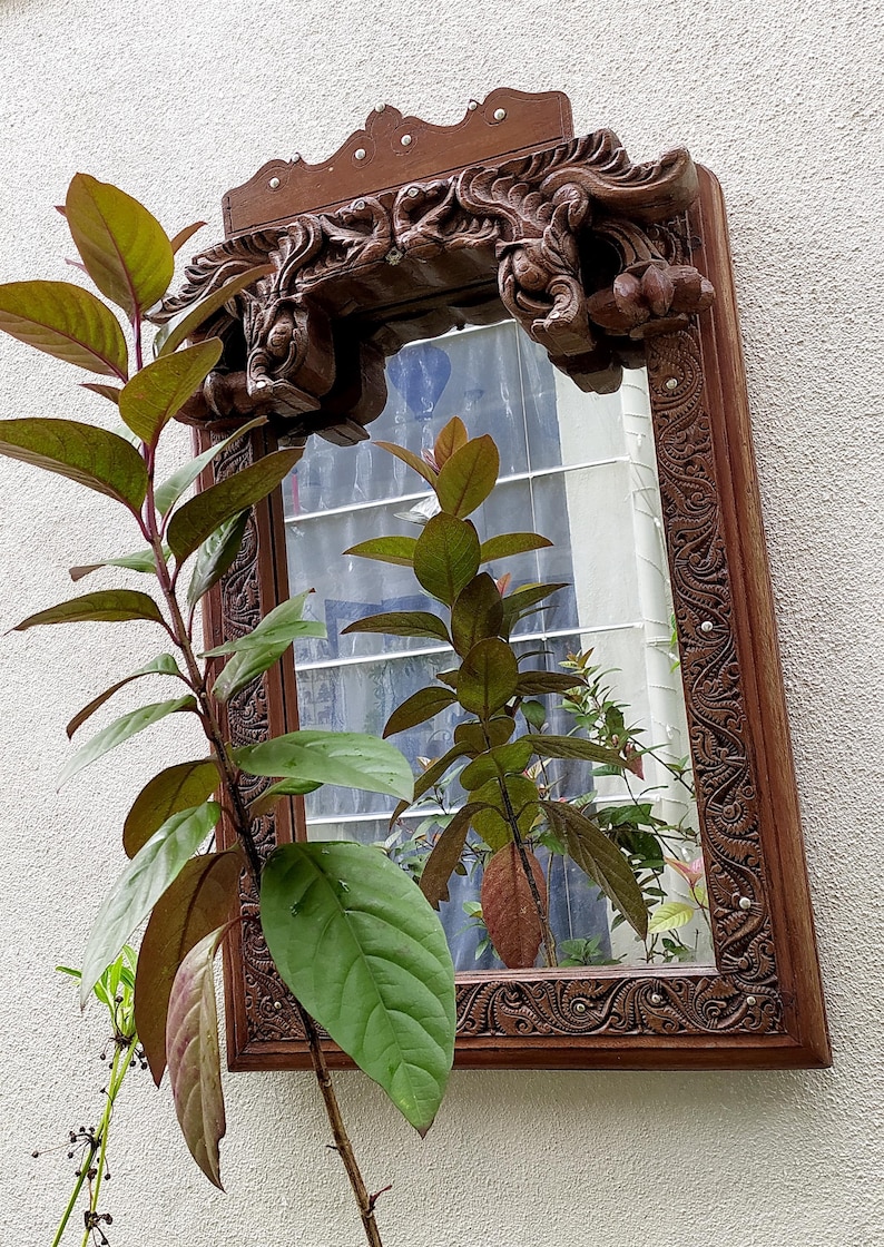 May include: A rectangular, ornate wooden mirror with intricate carvings and a decorative top. The mirror reflects a window and greenery. The frame is a warm brown color, and the mirror is surrounded by a plant with green and reddish leaves.