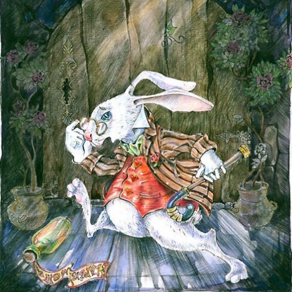 Following The White Rabbit Scenario