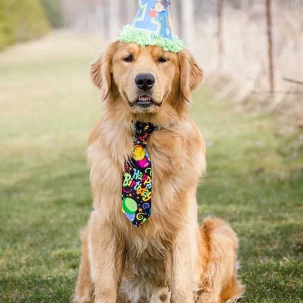 Pawtastic Happy Birthday Dog / Cat Neck Tie