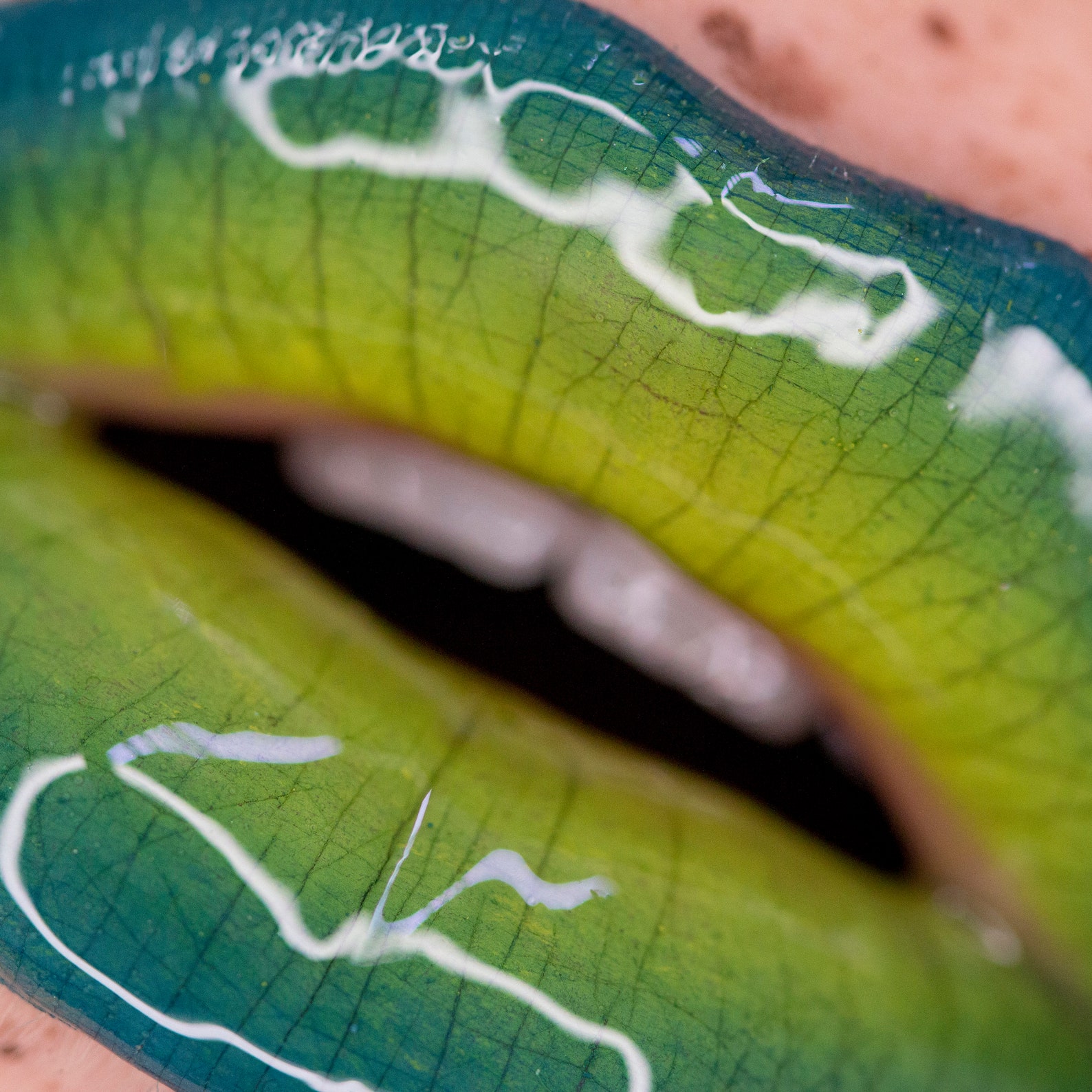 Lemon Lime Lip Art Print Etsy