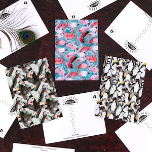 Pack de cartes postales ornithologues - Ensemble de 3 cartes postales d’impressions d’animaux