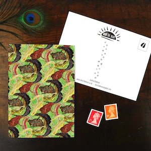 Amphibia Print Postkarte