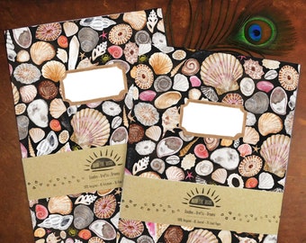 Mollusca Seashell Print Journal and Notebook Set - 2 A5 Notebooks - One Lined, One Plain