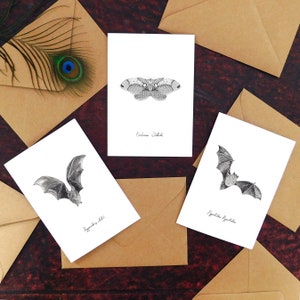 Nachtelijke specimens groeten card pack - set van 3 vleermuis en mot afdrukken wenskaarten - A6 - Blanco binnen