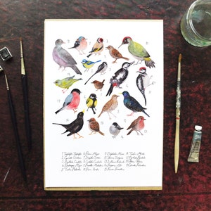 Aves British Garden Birds Art Print - A4 - Papel reciclado - Anticuario - Vintage - Placa de libro