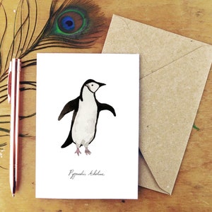 Tarjeta de saludos Adelie Penguin