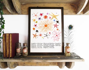 Asterozoa Starfish Art Print -  A4 - Recycled Paper - Antiquarian - Vintage - Book Plate