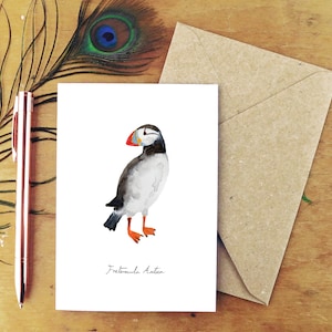 Atlantic Puffin Greetings Card