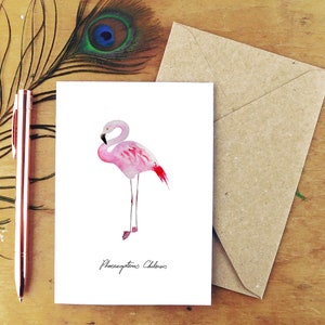 Flamboyance Chilenischer Flamingo Grußkarte