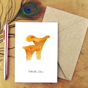 Chanterelle Fungi Greetings Card