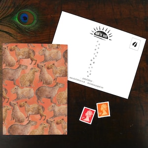 Chill of Capybaras Print Briefkaart