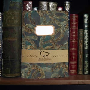 May include: A notebook featuring a teal and gold snake design, with a blank label. The notebook is branded "BISON BINDERY" and is displayed amongst antique books on a wooden shelf.